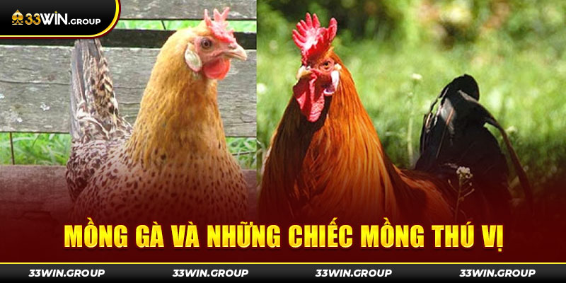 Mong-ga-va-nhung-chiec-mong-thu-vi