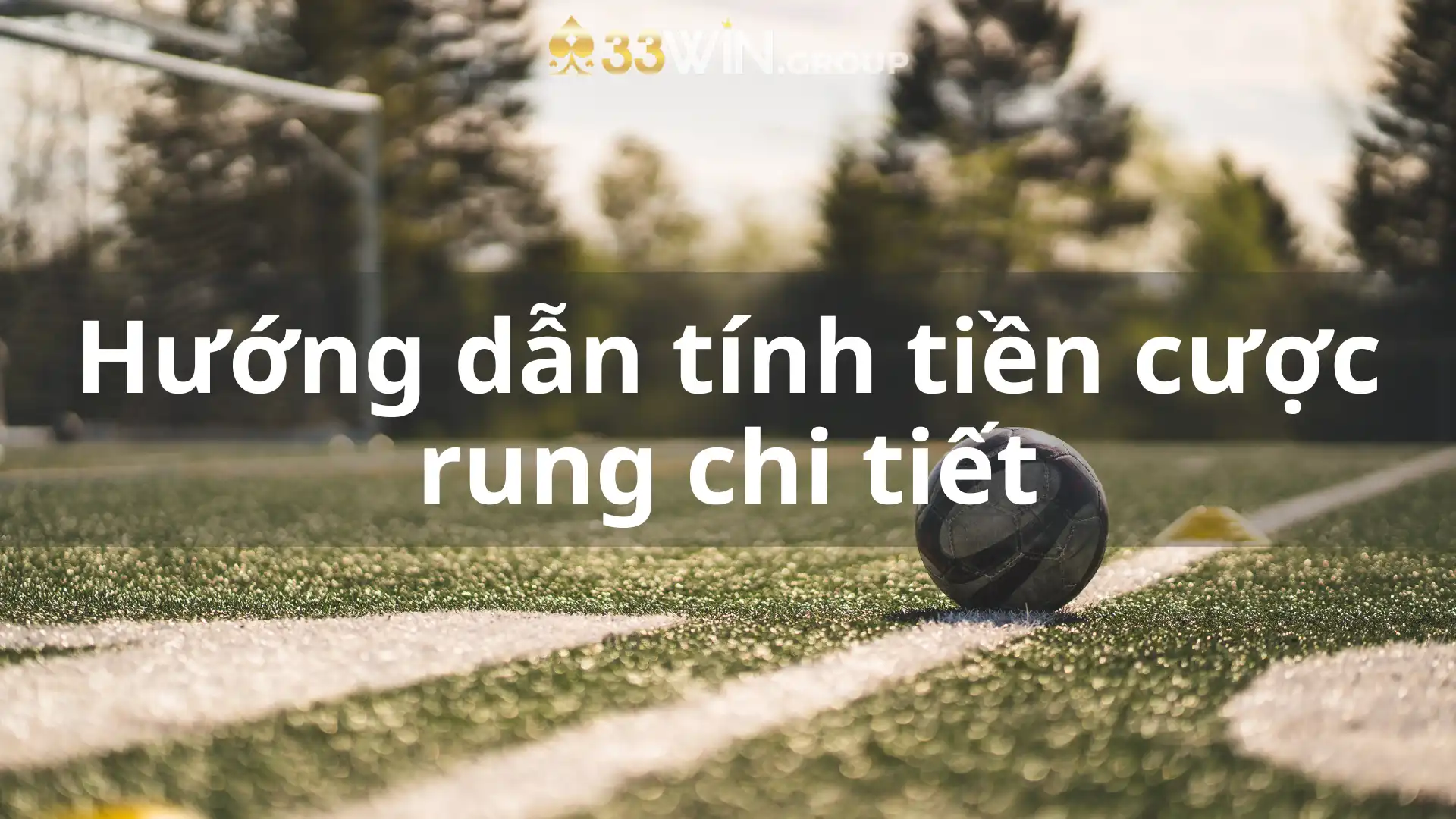 Hướng dẫn tính tiền cược rung chi tiết