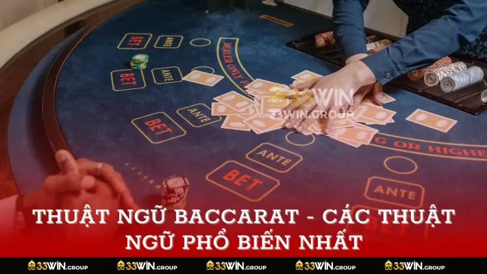 THUẬT NGỮ BACCARAT - CÁC THUẬT NGỮ PHỔ BIẾN NHẤT